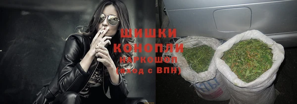 прущие крисы Белокуриха