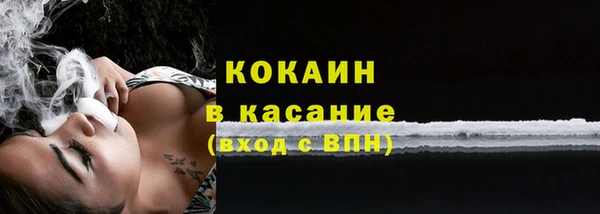 прущие крисы Белокуриха
