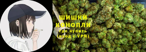 прущие крисы Белокуриха